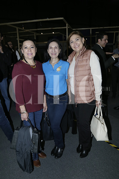 Patricia Martínez, Laura Gómez y Mayela Martínez (4)