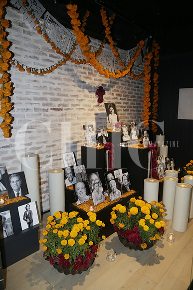 Aspectos Altar de Muertos (2)