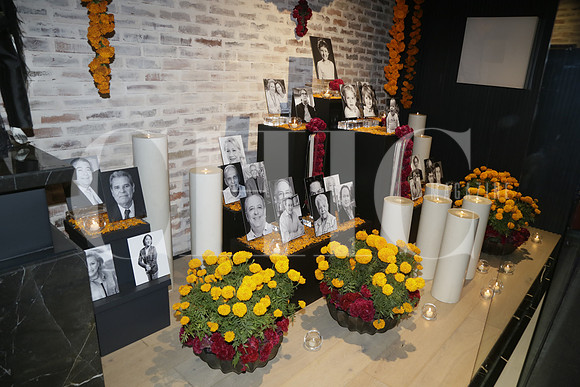 Aspectos Altar de Muertos