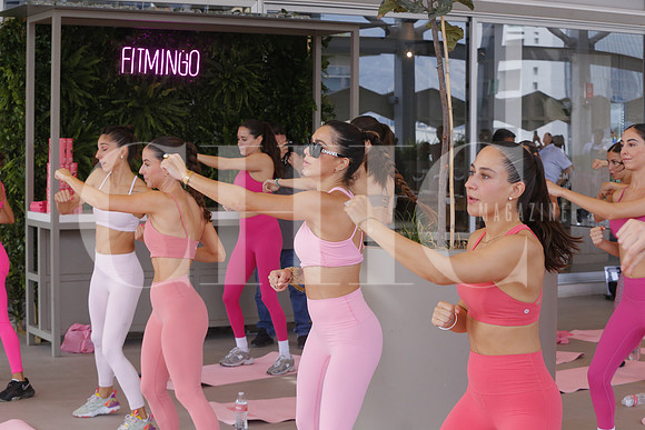 Presentacion Fitmingo Birdman 48