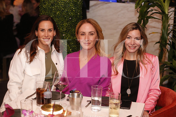 Claudia Sada de Costa, Alejandra Garza Caballero y Magala Martínez de Gomez 4