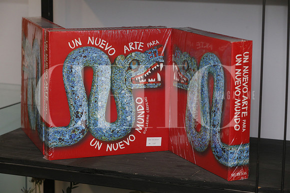 Expo Guillermo Cardenas 11
