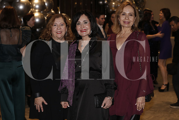 Silvia Barba, Margarita G Berchelmann y Laura Williamson 1