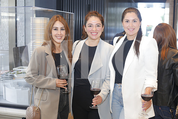 Gabriela Rodríguez, Pamela Martínez y Fernanda Llorente 2