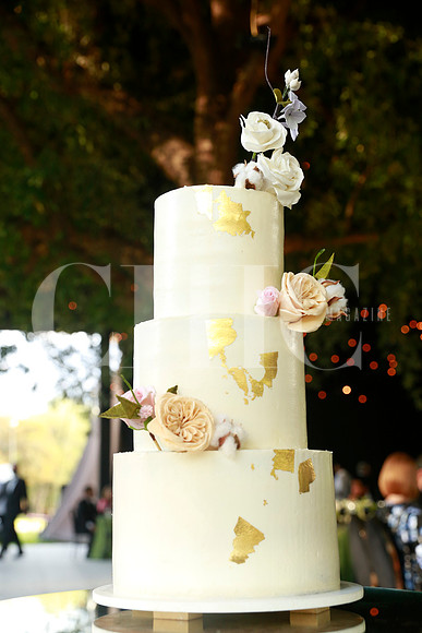 Boda de Rocio Fernandez y Sergio Cantú Marcos (108)