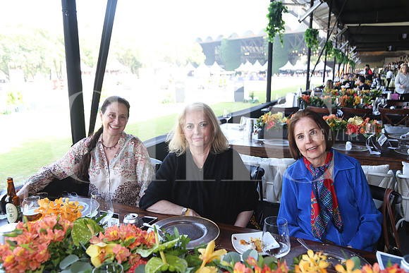 Miranda Sada, Margarita Vivanco y Minis Colyer