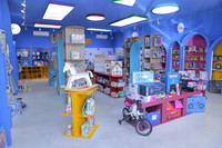 Toys 2 go 3