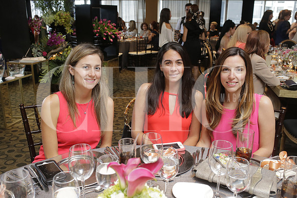 Daniela Cardenas de Hayek, Patricia Fernandez de Velazquez y Cecilia Dounce