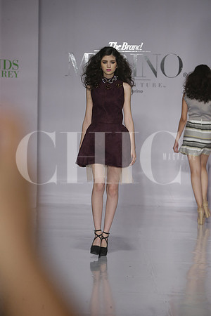 Merino (1)