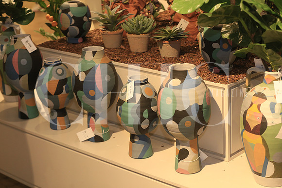 BV Home 8