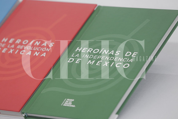 Heroinas de la revolución 2