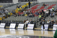 Fuerza regia 8