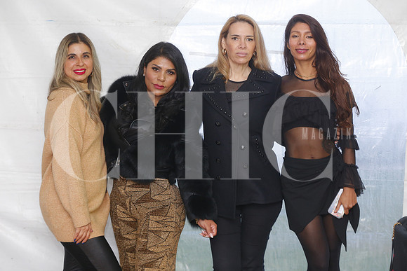 Evelyn Puente, Yerubice Castillo, Brenda Alanis y Jessica Vargas 6