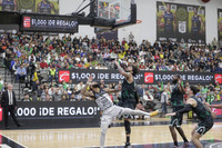 Final Fuerza Regia 33
