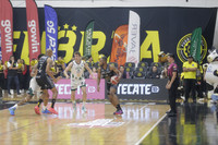 Fuerza regia 19