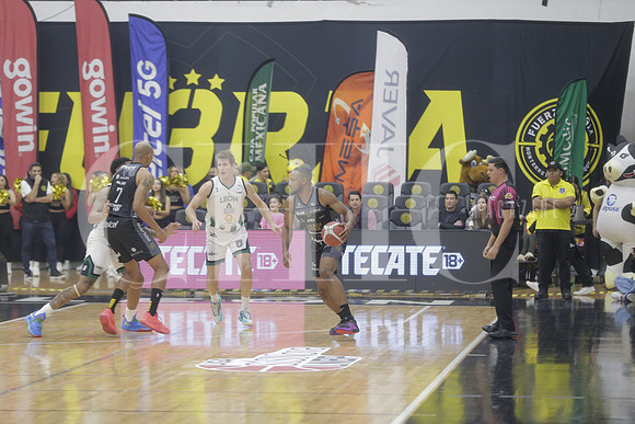 Fuerza regia 19