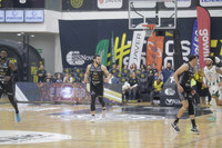 Fuerza regia 23