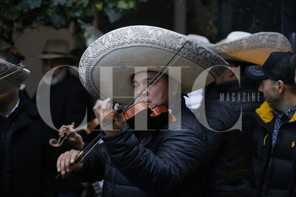 Detalles 14