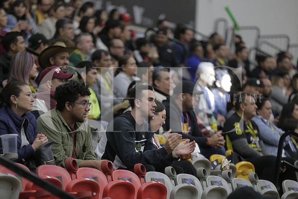 Publico 7