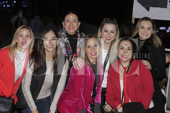Adriana Cano, Maria Jesus Treviño, Karina Martínez, Nancy Hernandez, Rosana Cruz, Wendy Arredondo y Alicia Martínez 3