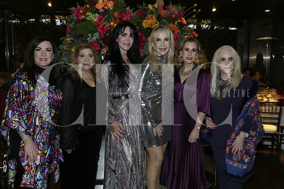 Marlene Dávila, Claudia Chávez de García, Martha de Ruiz, Lourdes González, Graciela Tancredi y Tey González (2)