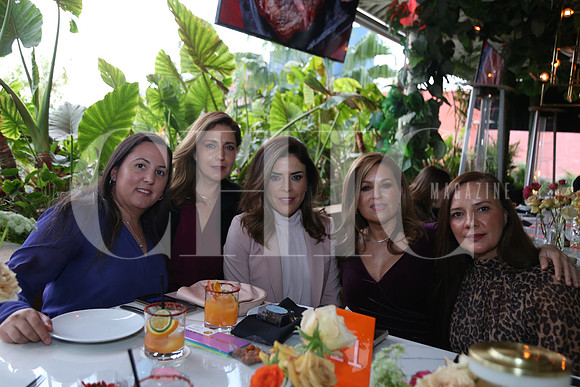 Claudia Domene, Lucero Espinoza, Greta Salinas, Verónica Guerrera de Garza y Alejandra  Treviño