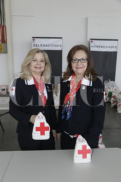 Sandra Leal de Alcorta y Eloisa Lozano de Arce. (2)