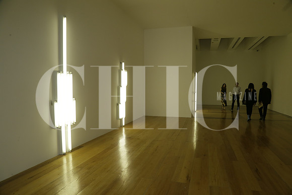 Aspectos de las obras de Dan Flavin (sin nombre) (6)