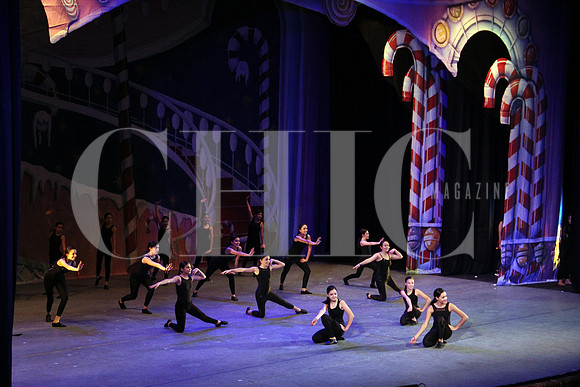 Aspectos generales (14)