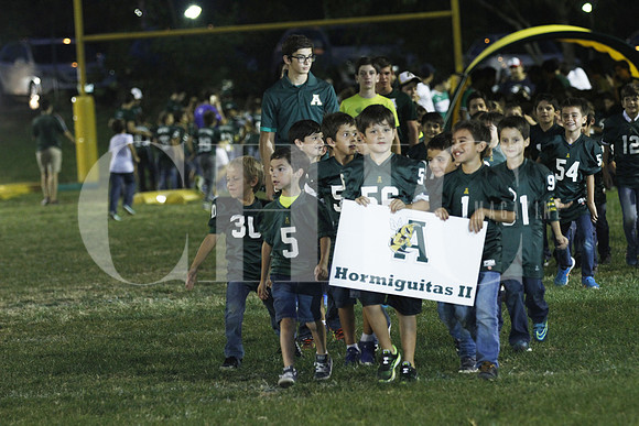 Hormiguitas II