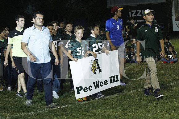 Pee Wee III