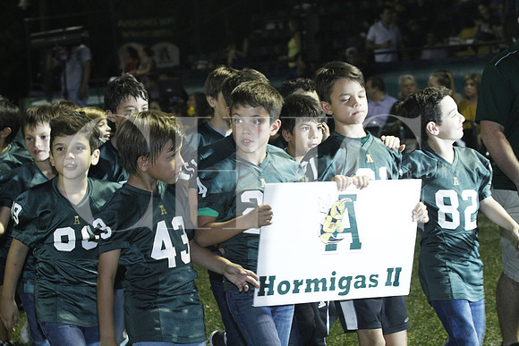 Hormigas II