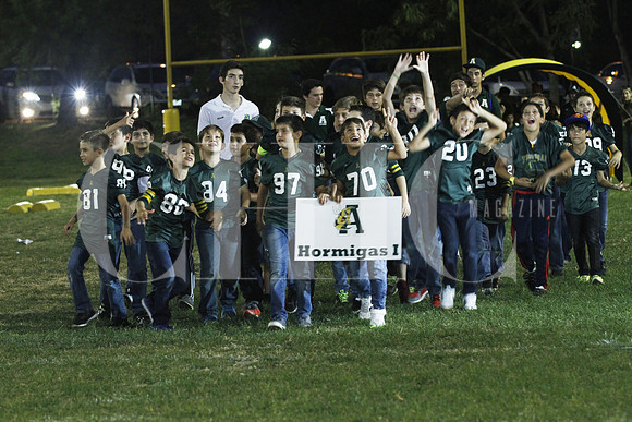 Hormigas 1