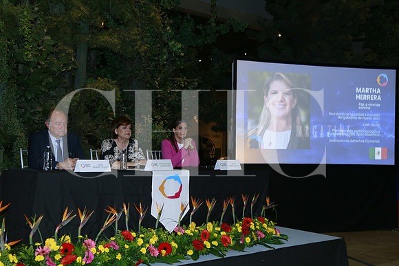 Javier Navarro, María Cristina González Parás y Martha Herrera (5)