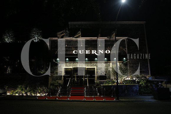 Cuerno (1)