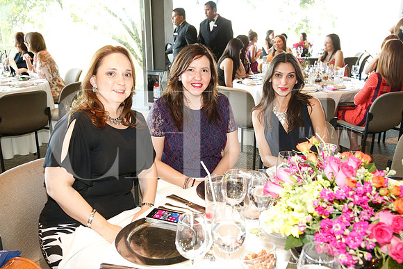 Rosario Sepúlveda, Pamela González de Martínez y Rebeca Garza de Martínez
