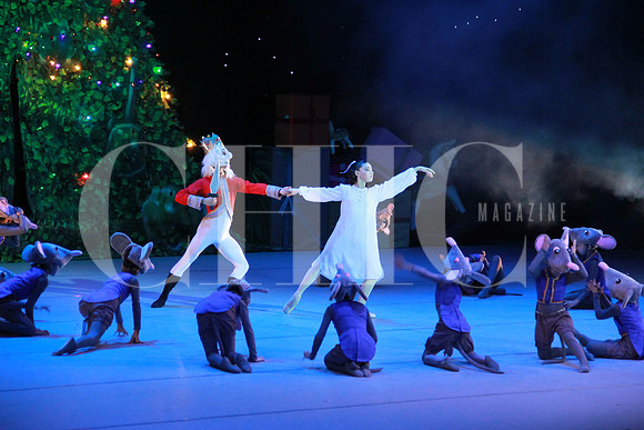 Aspectos generales (8)