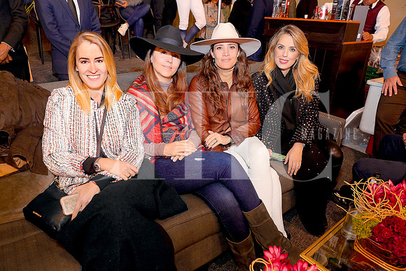 Regina Martínez de Garza, Maca Romo de Paez, Mónica Ladrón de Guevara y Lorena Nieto (2)