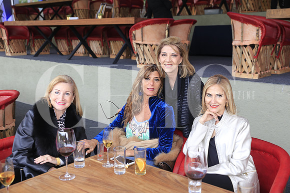 Mina Villarreal de Gustavson, Margarita de la Maza de Reyes, Yvonne Hayek de Treviño y Mónica Buerón de Villarreal (7)