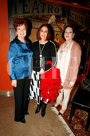 Constanza Madero, Amalia Lozano de Maiz y Norma Yolanda Elizondo
