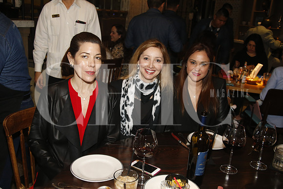 María Constanza de Barrios Gómez, Adriana Santos de  Sada y   Laura González de Díaz