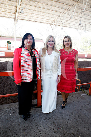 Gabriela Parás Gómez de Castillón, Marcela Ayala y Claudia Ibarra