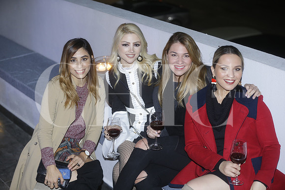 Mariana Tristan, Mayela Trevi§o de Barragan, Vivi Mu§oz y Yanela Trevi§o (2)