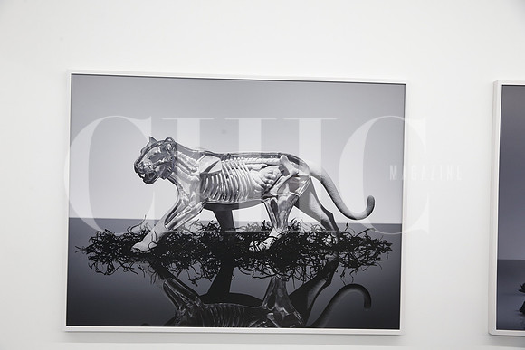 Obra de Omar Torres-2