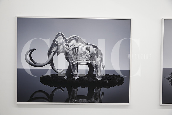Obra de Omar Torres-3
