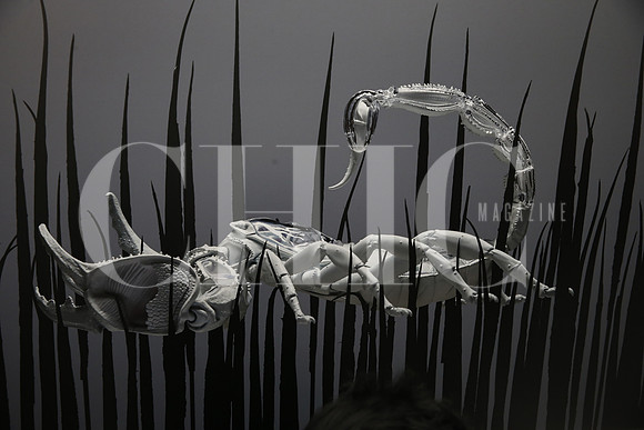 Obra de Omar Torres-6