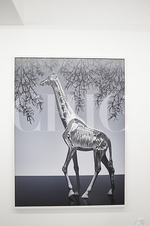 Obra de Omar Torres