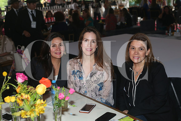 Silvia Ruiz de Gomez Junco, Karla Gracida de Ruiz y Mariana de Hernandez