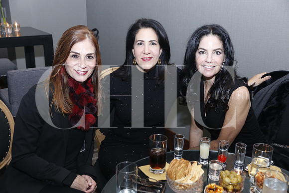 Sandra Villarreal de Guerrero, Cecilia Gamboa de Garza y Paulina Zambrano (4)