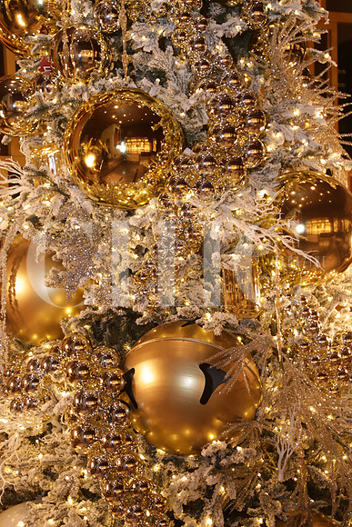 Detalle 20